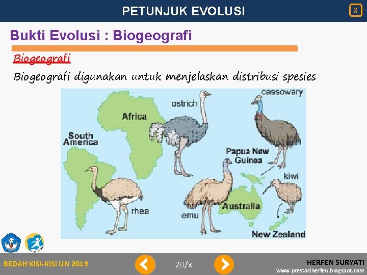 PETUNJUK EVOLUSI X Bukti Evolusi : Biogeografi digunakan untuk menjelaskan distribusi spesies BEDAH KISI-KISI