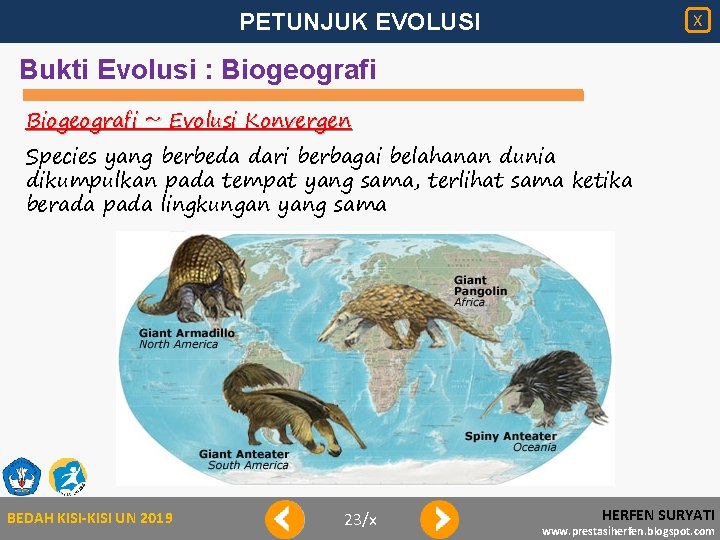 PETUNJUK EVOLUSI X Bukti Evolusi : Biogeografi ~ Evolusi Konvergen Species yang berbeda dari
