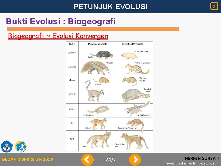 PETUNJUK EVOLUSI X Bukti Evolusi : Biogeografi ~ Evolusi Konvergen BEDAH KISI-KISI UN 2019
