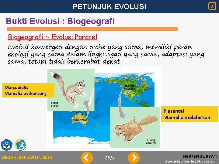 PETUNJUK EVOLUSI X Bukti Evolusi : Biogeografi ~ Evolusi Pararel Evolusi konvergen dengan niche