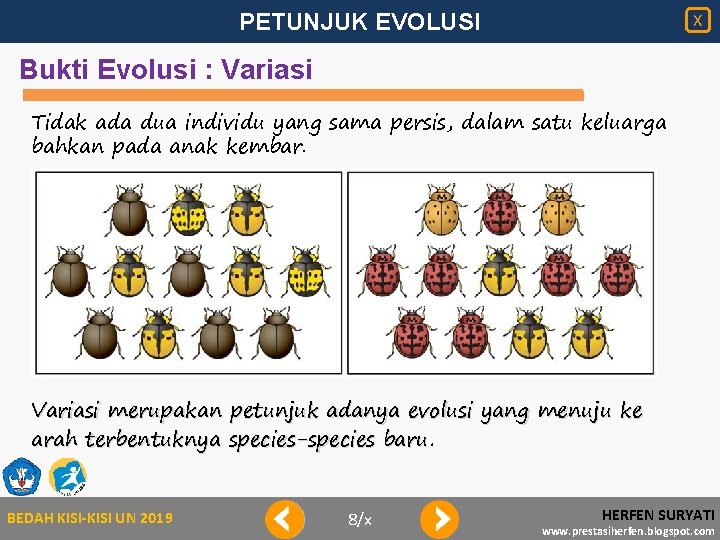 PETUNJUK EVOLUSI X Bukti Evolusi : Variasi Tidak ada dua individu yang sama persis,