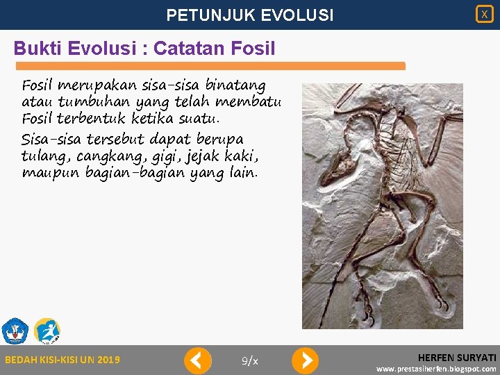 PETUNJUK EVOLUSI X Bukti Evolusi : Catatan Fosil merupakan sisa-sisa binatang atau tumbuhan yang