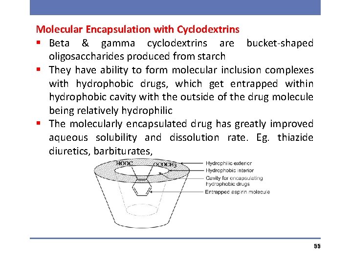 Molecular Encapsulation with Cyclodextrins § Beta & gamma cyclodextrins are bucket-shaped oligosaccharides produced from