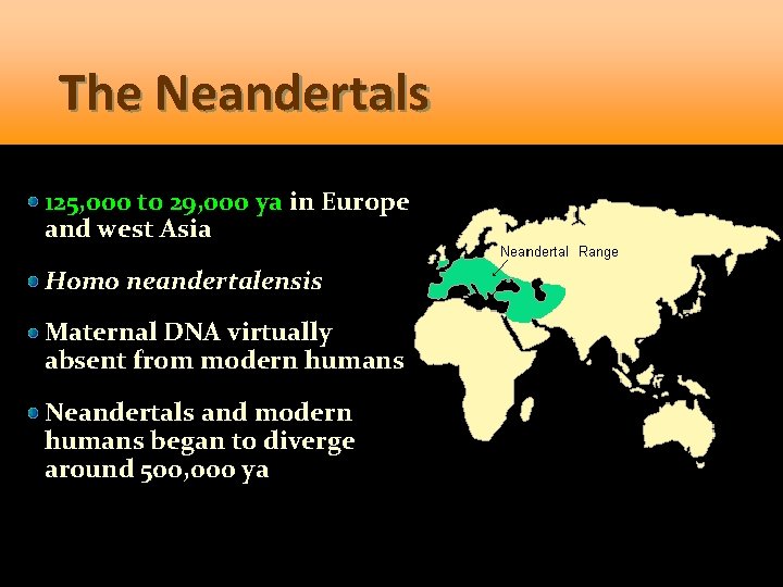 The Neandertals 125, 000 to 29, 000 ya in Europe and west Asia Homo