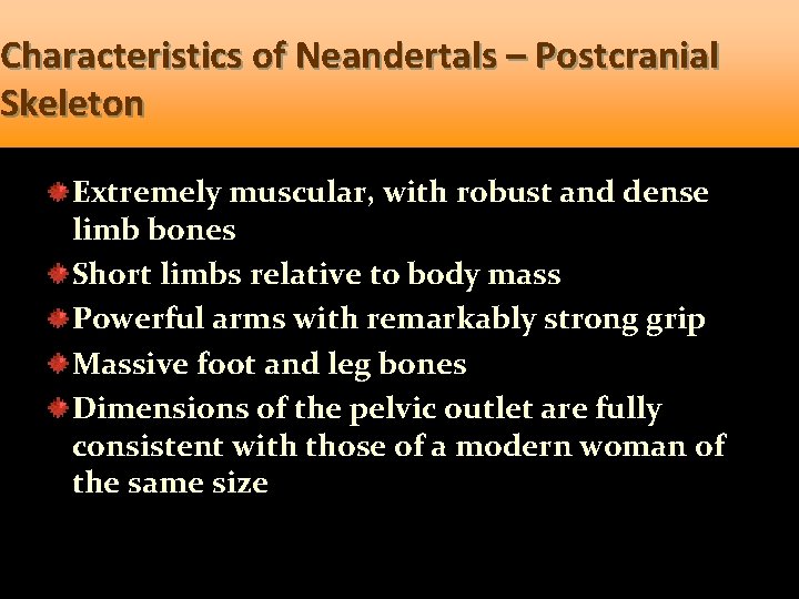 Characteristics of Neandertals – Postcranial Skeleton Extremely muscular, with robust and dense limb bones