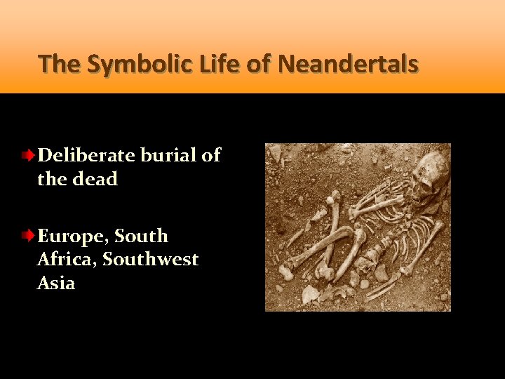 The Symbolic Life of Neandertals Deliberate burial of the dead Europe, South Africa, Southwest