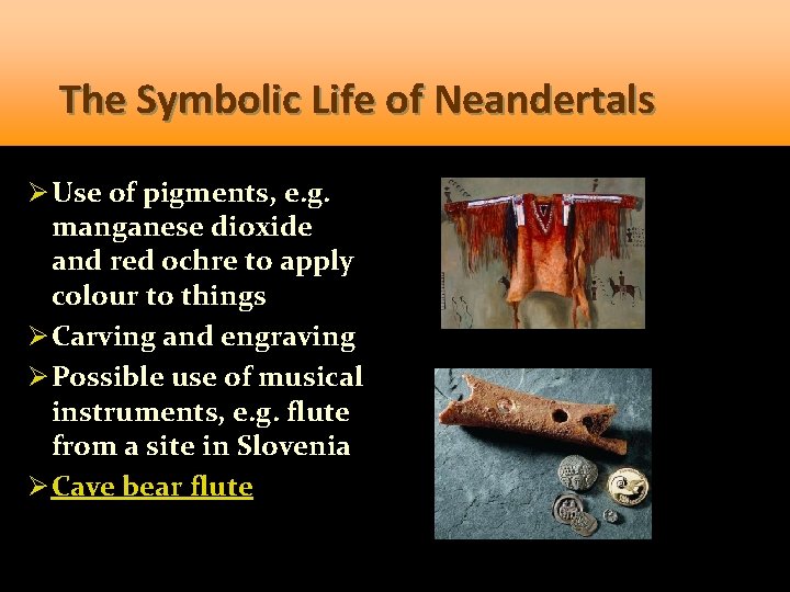 The Symbolic Life of Neandertals Ø Use of pigments, e. g. manganese dioxide and