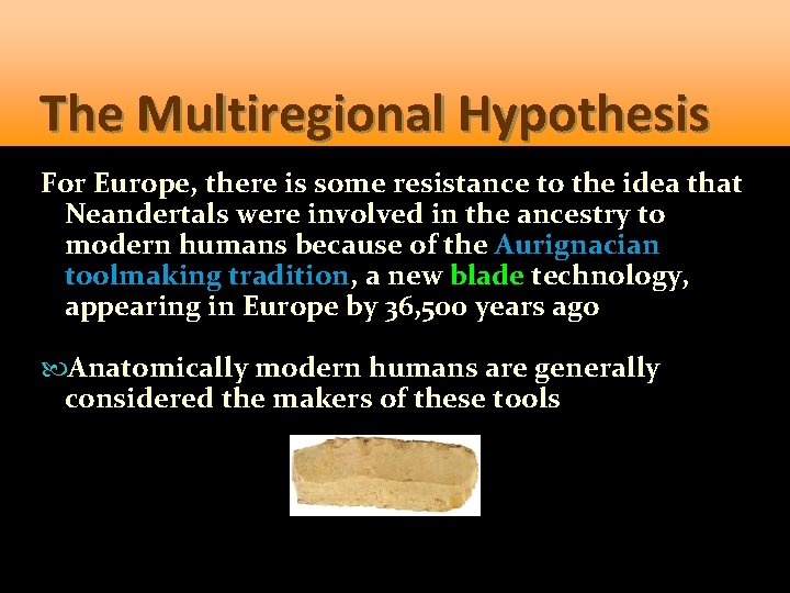 The Multiregional Hypothesis For Europe, there is some resistance to the idea that Neandertals