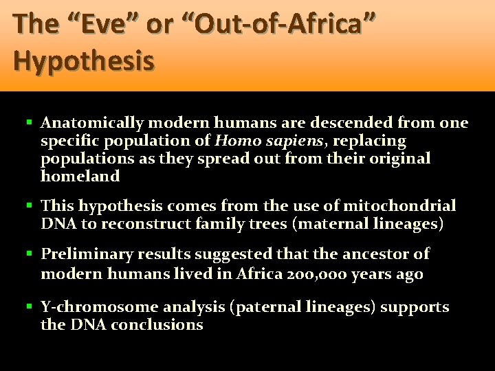 The “Eve” or “Out-of-Africa” Hypothesis § Anatomically modern humans are descended from one specific