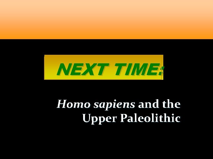 NEXT TIME: Homo sapiens and the Upper Paleolithic 