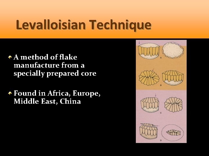 Levalloisian Technique A method of flake manufacture from a specially prepared core Found in