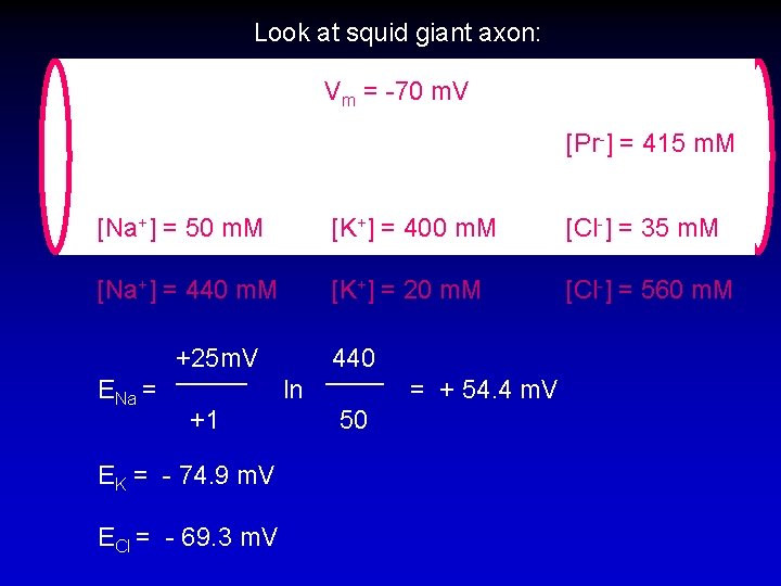 Look at squid giant axon: Vm = -70 m. V [Pr-] = 415 m.