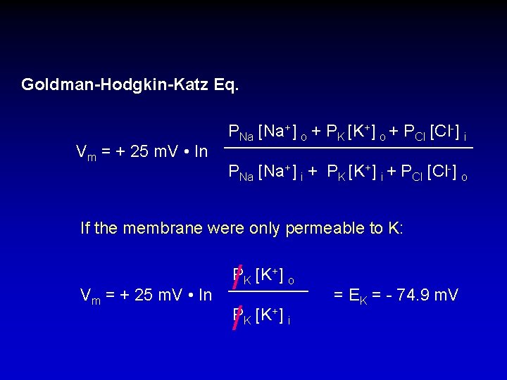 Goldman-Hodgkin-Katz Eq. Vm = + 25 m. V • ln PNa [Na+] o +