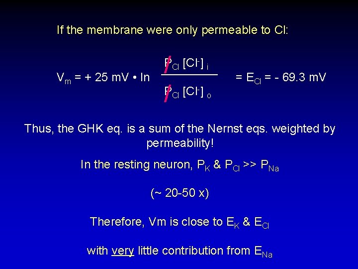 If the membrane were only permeable to Cl: Vm = + 25 m. V