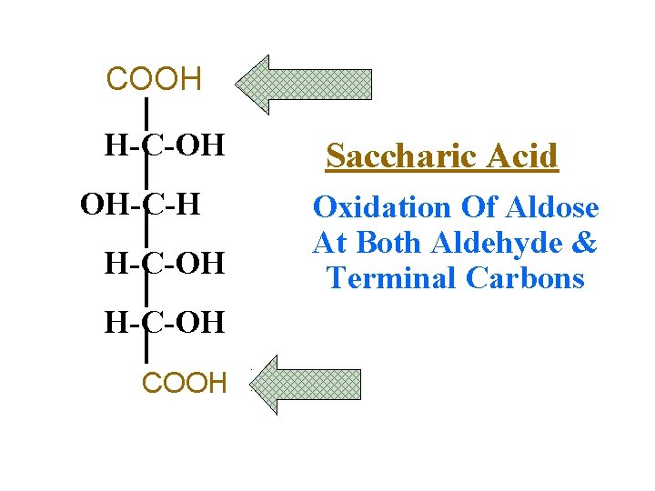 COOH H-C=O H-C-OH Saccharic Acid OH-C-H Oxidation Of Aldose At Both Aldehyde & H-C-OH