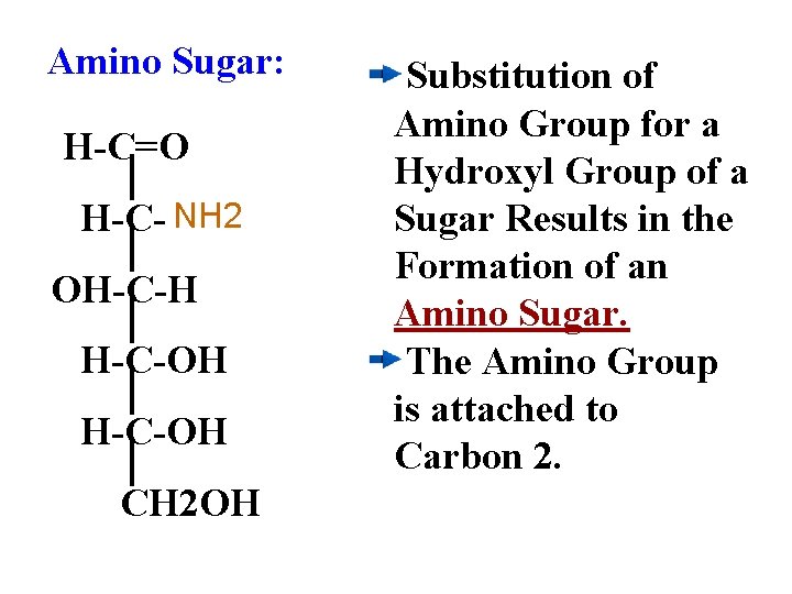 Amino Sugar: H-C=O NH 2 H-C-OH OH-C-H H-C-OH CH 2 OH Substitution of Amino