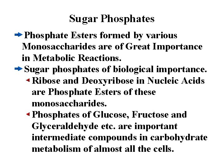 Sugar Phosphates Phosphate Esters formed by various Monosaccharides are of Great Importance in Metabolic