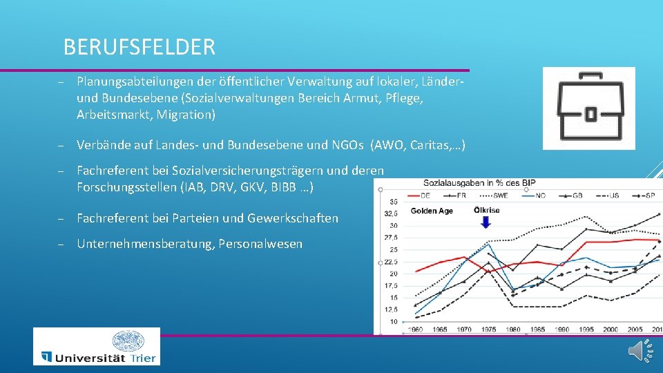 BERUFSFELDER - Planungsabteilungen der öffentlicher Verwaltung auf lokaler, Länderund Bundesebene (Sozialverwaltungen Bereich Armut, Pflege,