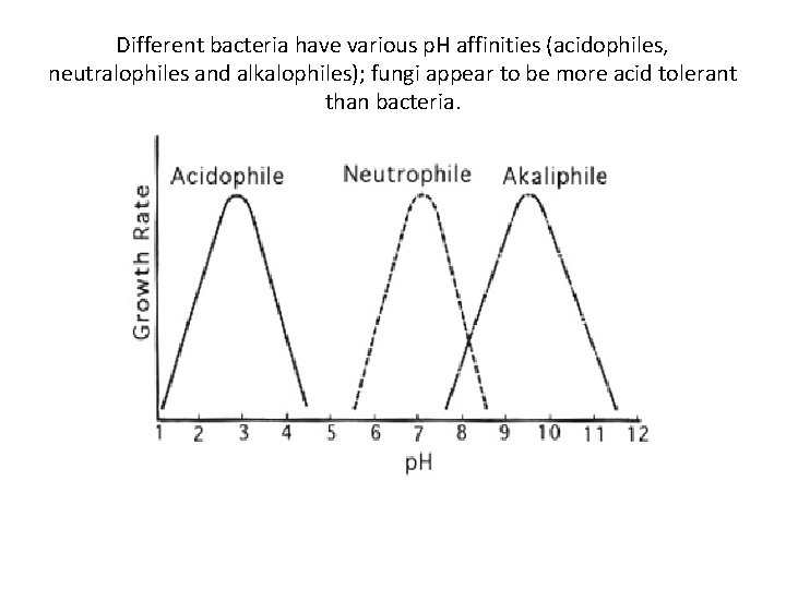 Different bacteria have various p. H affinities (acidophiles, neutralophiles and alkalophiles); fungi appear to