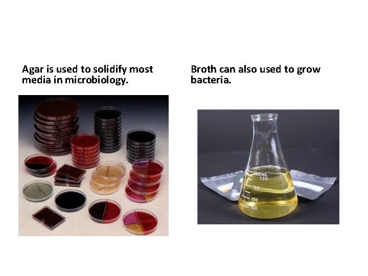 Agar is used to solidify most media in microbiology. Broth can also used to