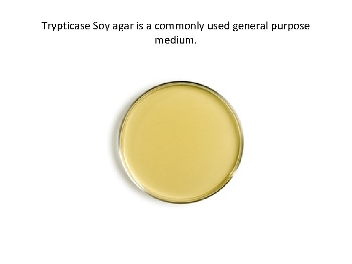 Trypticase Soy agar is a commonly used general purpose medium. 