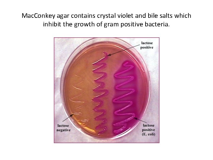 Mac. Conkey agar contains crystal violet and bile salts which inhibit the growth of