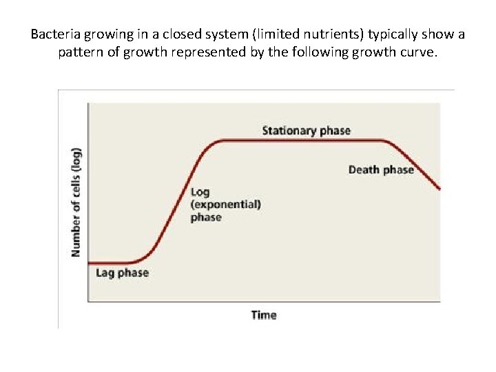 Bacteria growing in a closed system (limited nutrients) typically show a pattern of growth