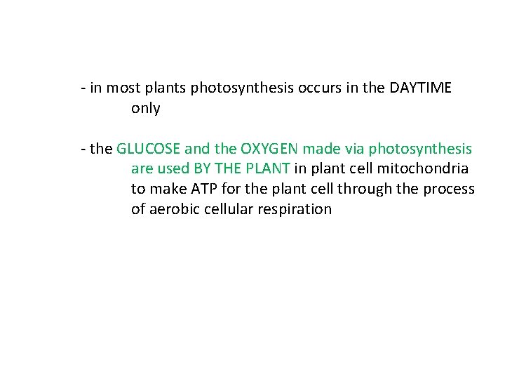 - in most plants photosynthesis occurs in the DAYTIME only - the GLUCOSE and