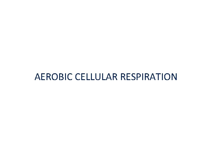 AEROBIC CELLULAR RESPIRATION 