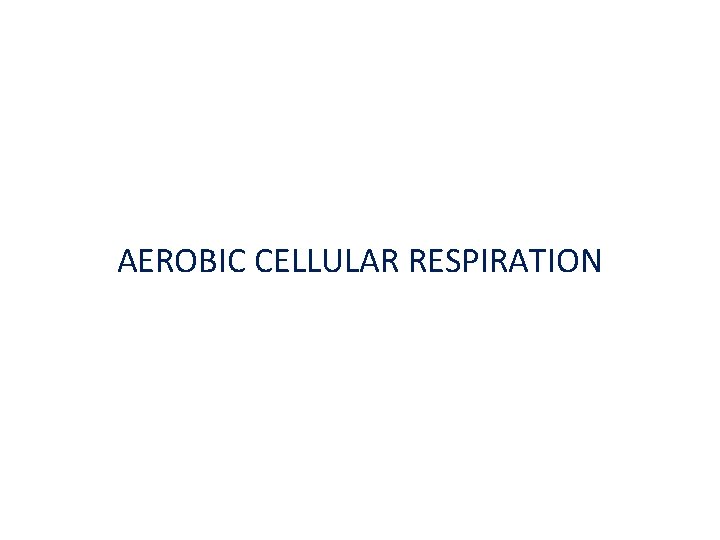 AEROBIC CELLULAR RESPIRATION 