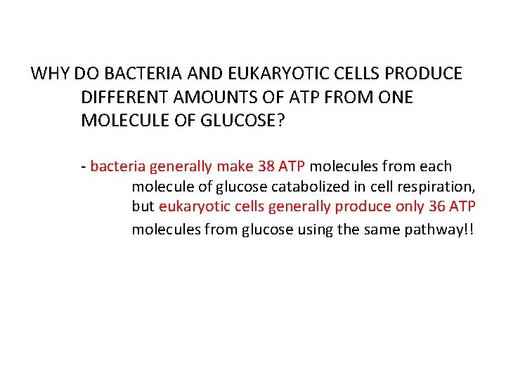 WHY DO BACTERIA AND EUKARYOTIC CELLS PRODUCE DIFFERENT AMOUNTS OF ATP FROM ONE MOLECULE