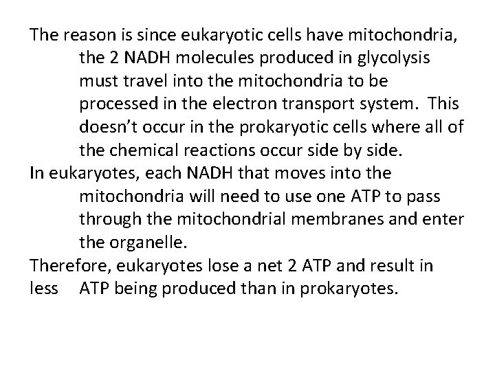 The reason is since eukaryotic cells have mitochondria, the 2 NADH molecules produced in