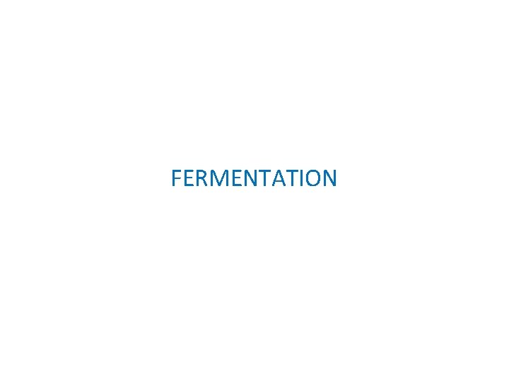 FERMENTATION 