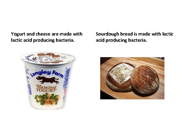 Yogurt and cheese are made with lactic acid producing bacteria. Sourdough bread is made