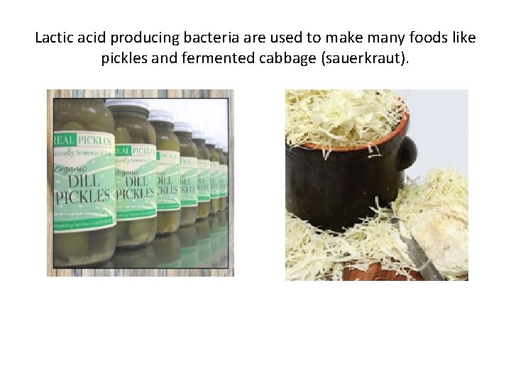 Lactic acid producing bacteria are used to make many foods like pickles and fermented