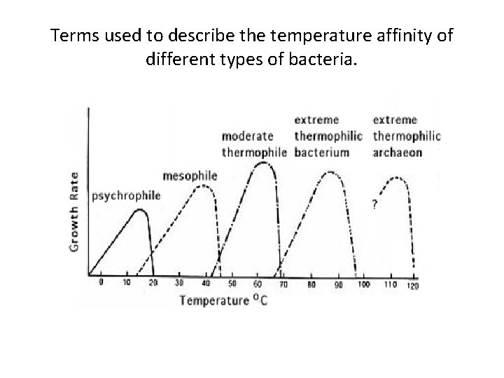 Terms used to describe the temperature affinity of different types of bacteria. 