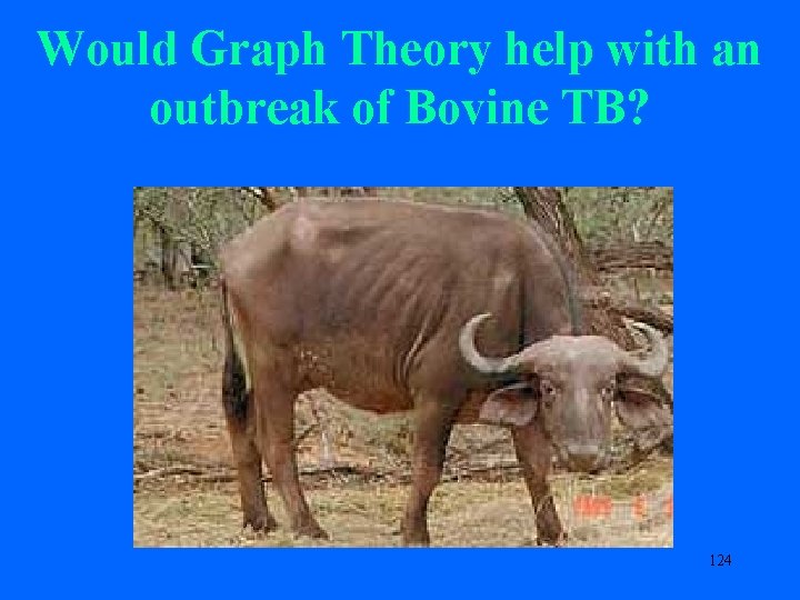 Would Graph Theory help with an outbreak of Bovine TB? 124 