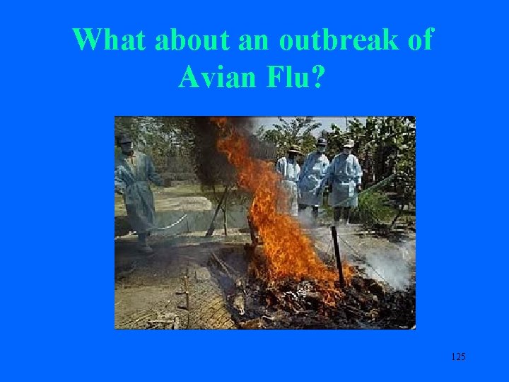What about an outbreak of Avian Flu? 125 