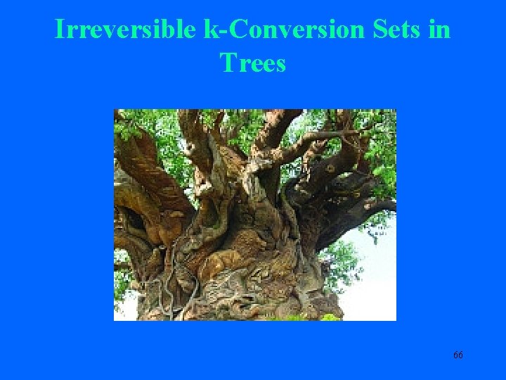 Irreversible k-Conversion Sets in Trees 66 