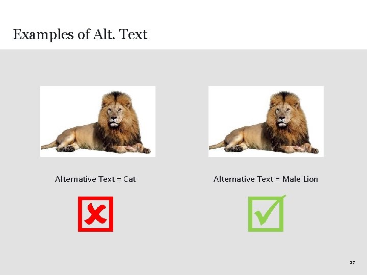 Examples of Alt. Text Alternative Text = Cat Alternative Text = Male Lion 26