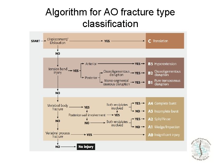 Algorithm for AO fracture type classification 