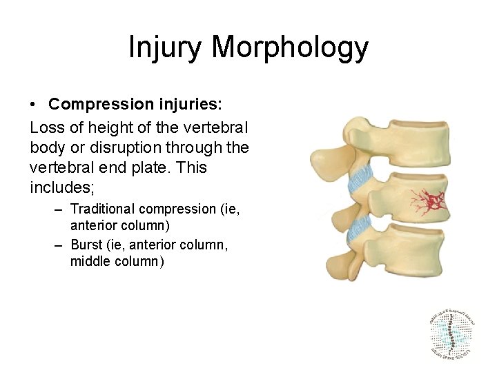 Injury Morphology • Compression injuries: Loss of height of the vertebral body or disruption
