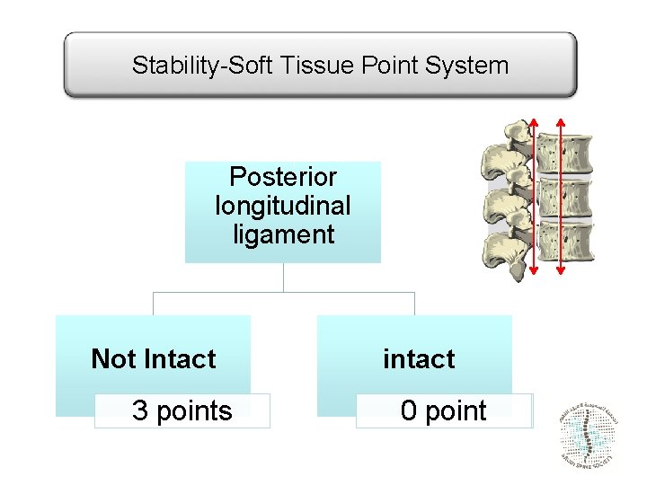 Stability-Soft Tissue Point System Posterior longitudinal ligament Not Intact 3 points intact 0 point