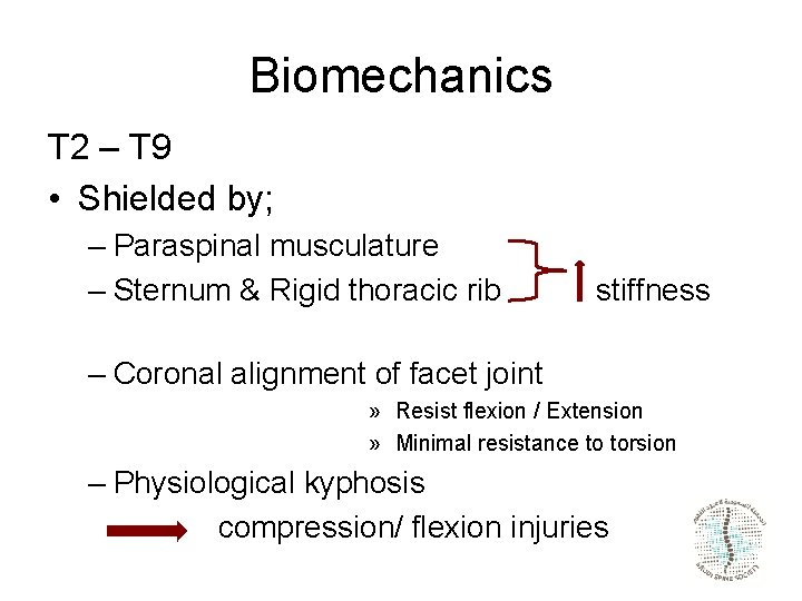 Biomechanics T 2 – T 9 • Shielded by; – Paraspinal musculature – Sternum