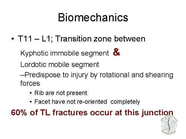 Biomechanics • T 11 – L 1; Transition zone between Kyphotic immobile segment &