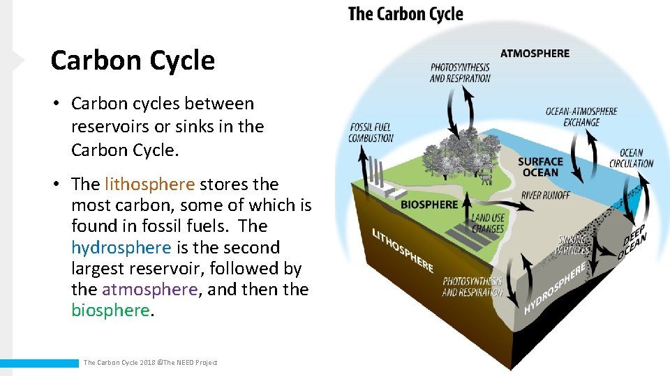 Carbon Cycle • Carbon cycles between reservoirs or sinks in the Carbon Cycle. •