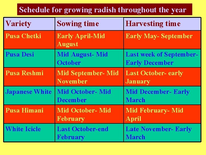 Schedule for growing radish throughout the year Variety Sowing time Harvesting time Pusa Chetki