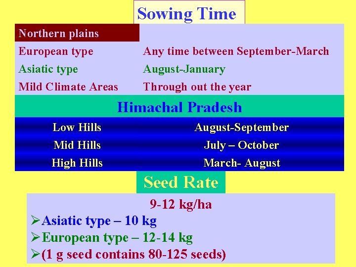 Sowing Time Northern plains European type Asiatic type Any time between September-March August-January Mild