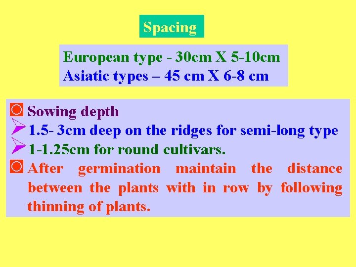 Spacing European type - 30 cm X 5 -10 cm Asiatic types – 45