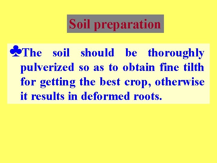 Soil preparation ♣The soil should be thoroughly pulverized so as to obtain fine tilth